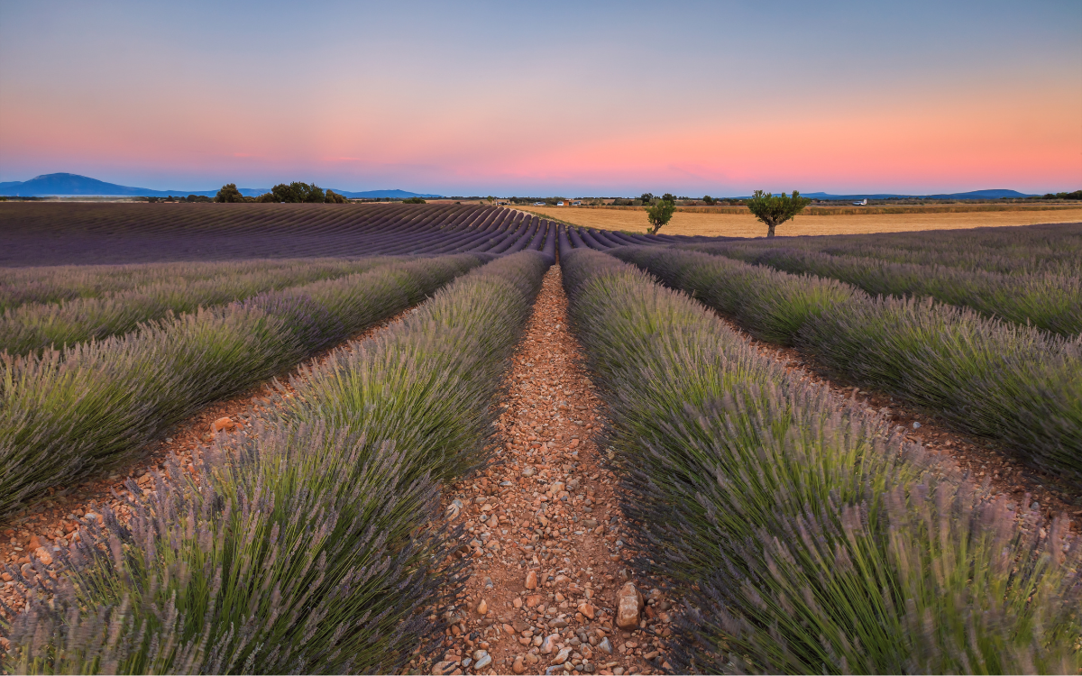 Provence, the quintessential second home destination